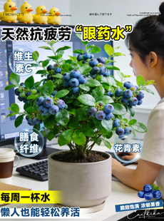 �{ݮ�������Ϸ������ļ��̨ˮ����NֲͥԺ���N������箔��Y��