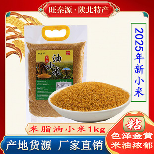 2025��֬�SС�״��b �r��ܛŴ���SС��2��ꄱ�Դ�^�S�����l