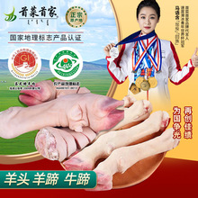 �ײ��׼��������^�������ʳ��ţ���������r������l������������