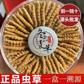 西藏那曲冬虫夏草礼盒装虫草干货品质整草断草批发代发特选中药
