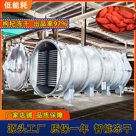 枸杞冻干机 低能耗智能化真空冷冻干燥机 成品无白点破皮冻干设备