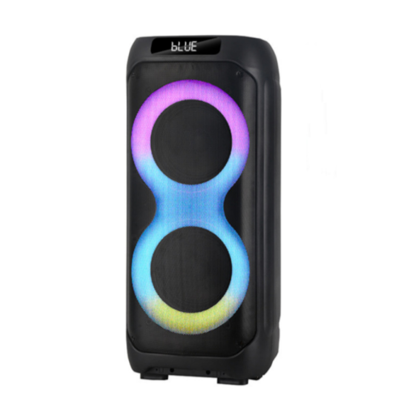 Fabricante cabello recto doble 10 pulgadas alta potencia sonido al aire libre con micrófono inalámbrico altavoz de luz de color brillante