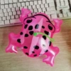 Old glowing frog