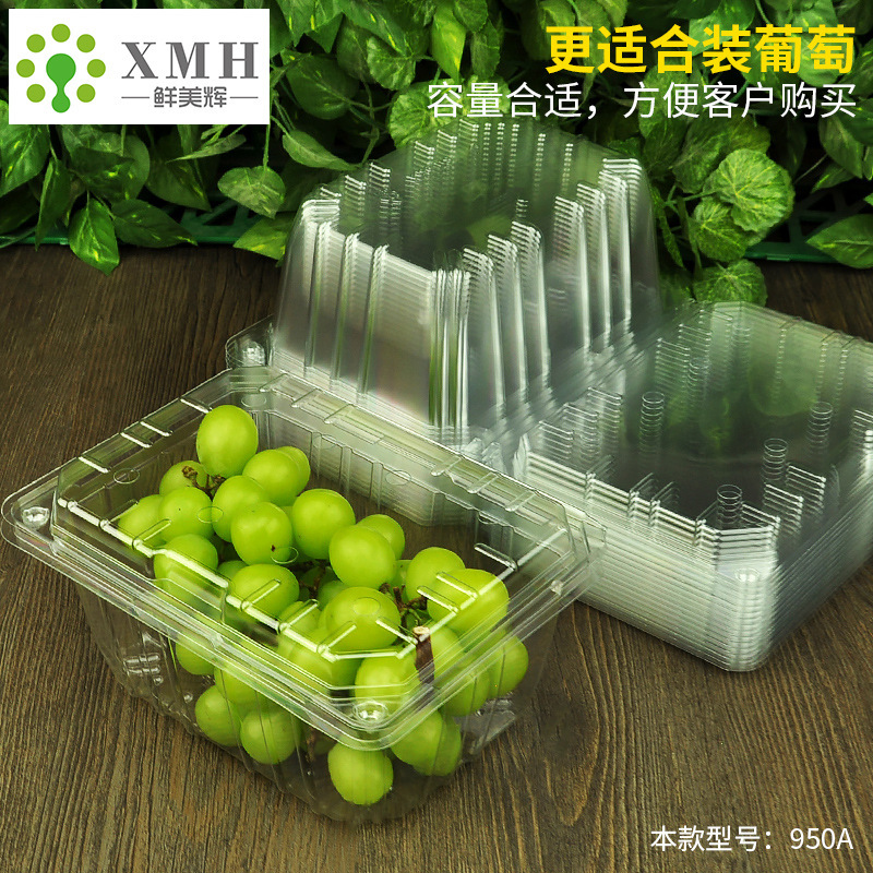 加厚一次性葡萄水果盒巨峰包装盒高硬度多用途塑料果蔬打包盒|undefined