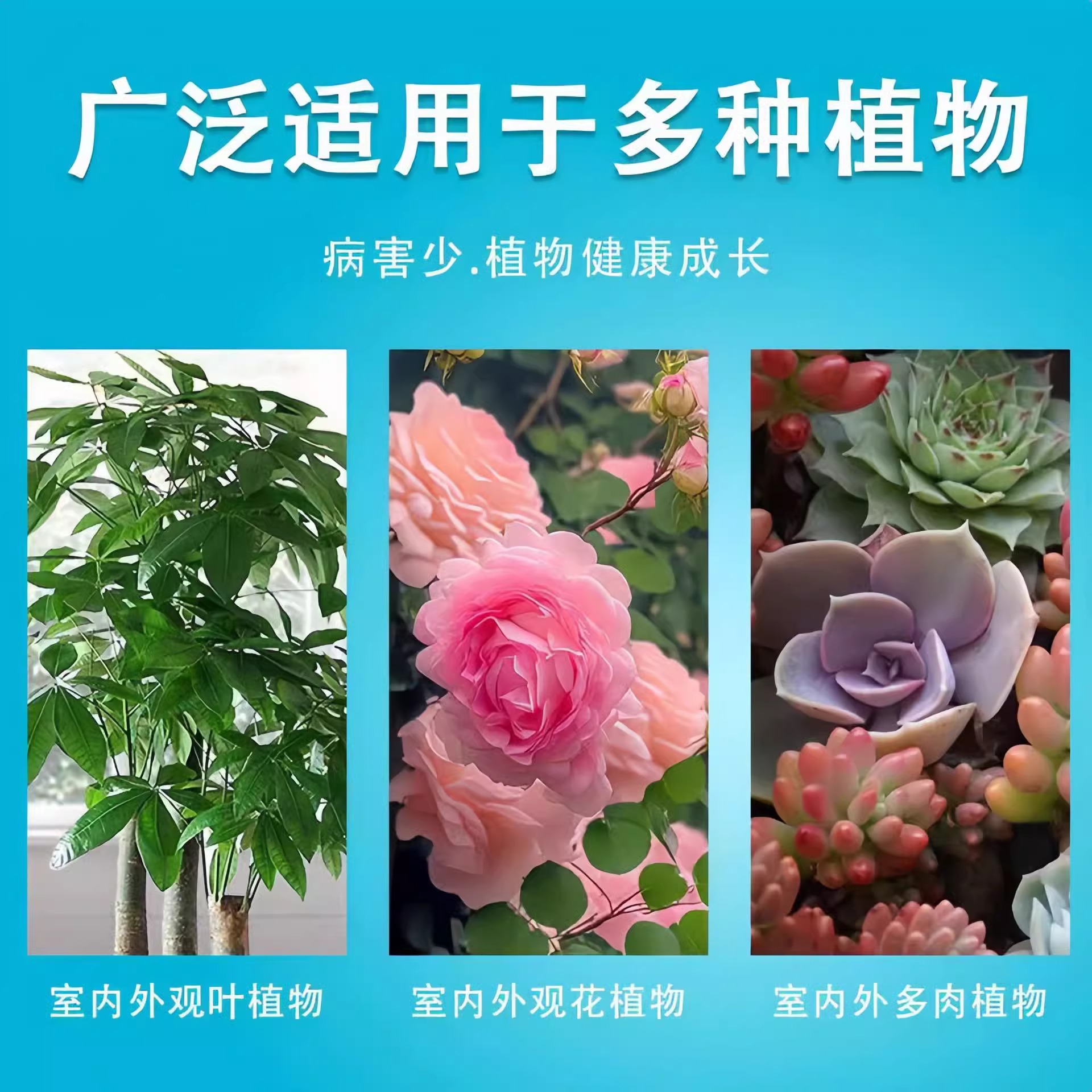 floral image 4