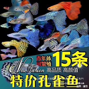 �ͻ��^�p�~���~С���~�Ꭷ���w�~�猙���~���B�����ȸ�~���N��ˮ