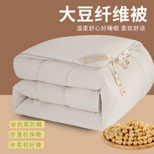 厂家批发大豆蛋白纤维被母婴夏凉被春秋冬被加厚四季礼品被空调被
