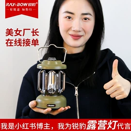 手电筒;头灯头戴电筒;野营/露营灯