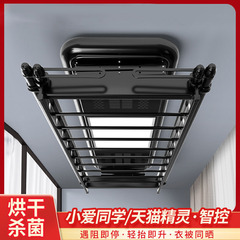 電動ハンガーリモコン昇降ベランダ知能乾燥乾燥ハンガー家庭用ハンガー自動洗濯機