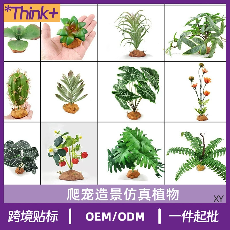 Коробка для рептилии Черепаха Ящерица Хамелеон Тропический тропический лес Моделирование растений Экологический резервуар пустыни ландшафтное украшение