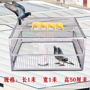 ����ץ���ӻ\ȫ�Ԅ�ֻ�M��������\�Ԅ����Tײ�T�\�����þ�