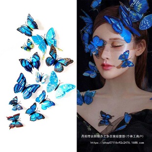 �zӰˇ�g����y�{ɫ�����沿���ƷĘ�N���Č��������̨�y���N��