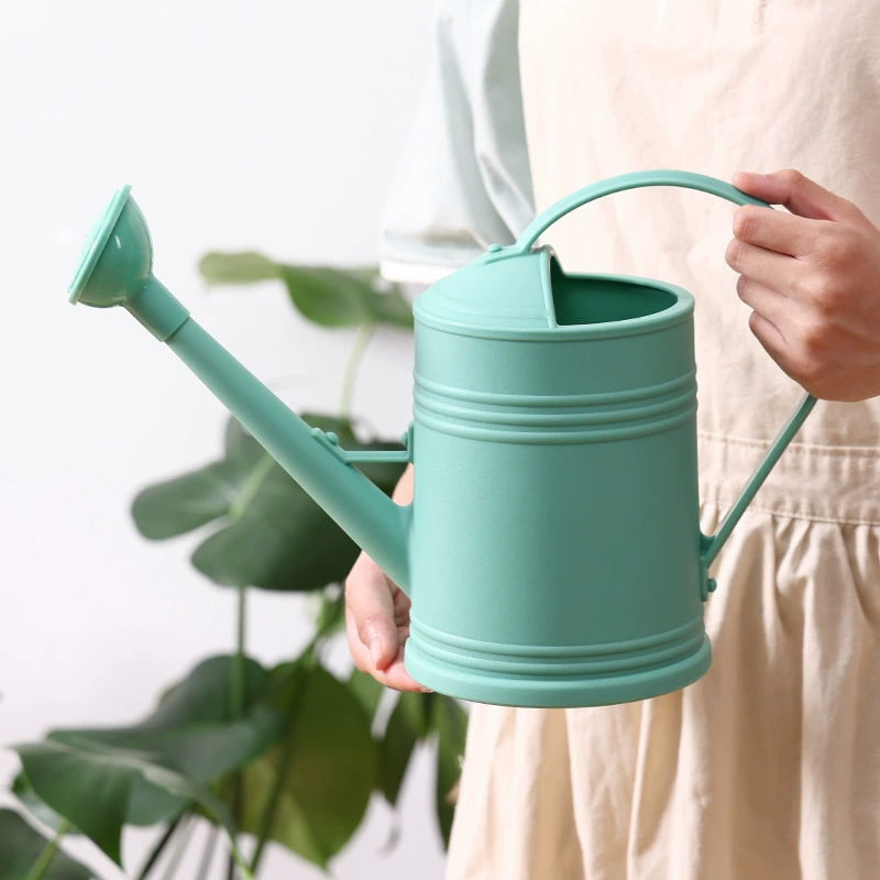 Чайник для полива цветов для домашнего использования