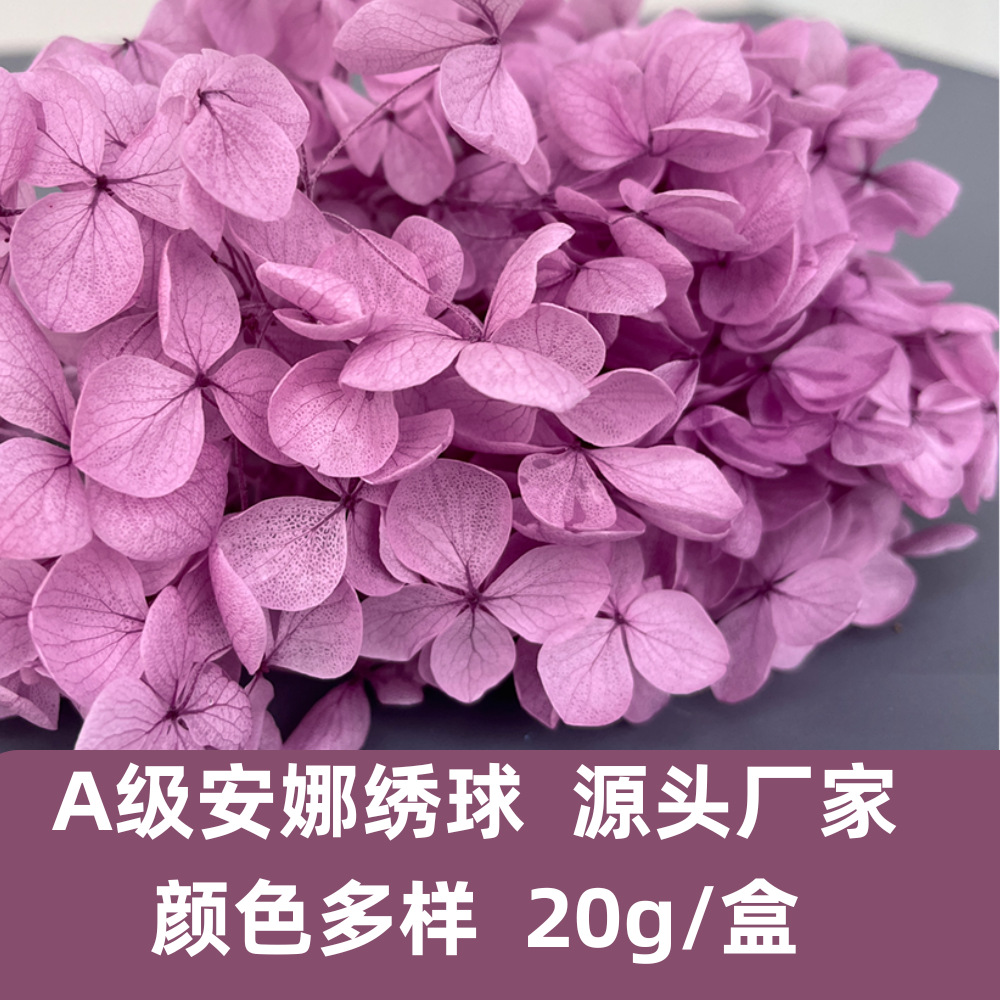 Hortensia Preservada A+ Anna, Flor Seca de Hortensia de Hoja Pequeña, 20g en Caja, Fabricante de Hortensias, Material Floral al por Mayor para el Día de San Valentín