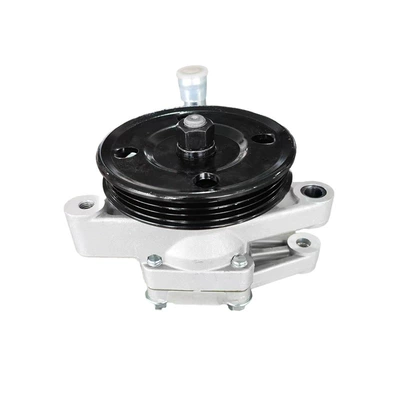 pump, Gücləndirici nasosu