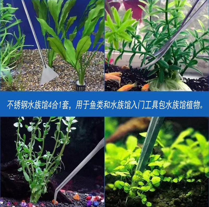 水草の剪定道具は海を追いますセットのステンレスのはさみのピンセットの魚の水槽の造景を挟みます。|undefined