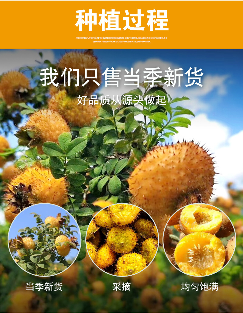 Freeze-Dried Ci Li (Rosa roxburghii) — Guizhou Cili Fruit Tea, Loose Bulk 500g preparation