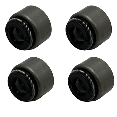 Cylinder and parts Overhaul Kit Full Vehicle