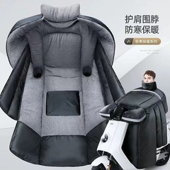 防風は冬の革の路面電車に防風され、冬の革の表面に風が乗って電車の冬に大きなベルベットに厚くされた