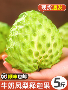 ��ȹ����r����֦5���Ŀ�P��ţ�̷��^������Ħ�������ˮ��3��S