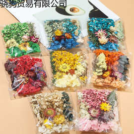 干花diy永生花材料包DIY相框团扇贴画浮游儿童节学生花艺课花材包