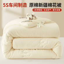 新疆棉花被子冬被棉被全棉冬季加厚保暖纯棉花被芯单人春秋被棉絮