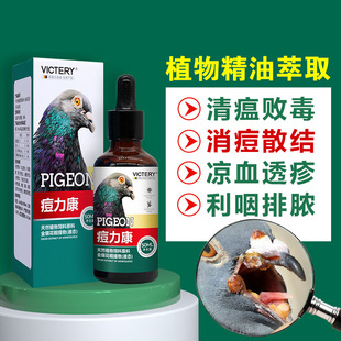 Pox Likang 50ml/bottle pigeon pox special carrier pigeon foot pox clean pigeon bean pox clear pigeon bean pigeon spirit parrot supplies
