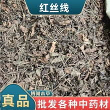 �t�z����ș�� �t�z����ʮ��� ʮ���ј���șɽ�{�t�{Ұ����t�{��