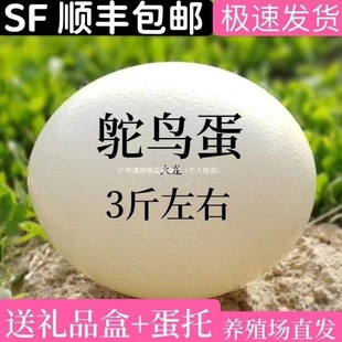 �r�B����̖�Y����S���]�ͶYʳ�����r�������R�d����B���޺ӱ�