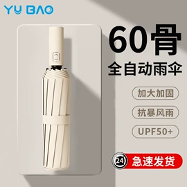 雨伞;晴雨伞;遮阳/太阳伞