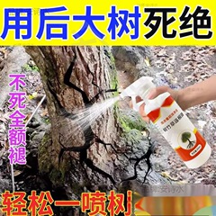 腐った木の根の薬刹大樹の腐った根の草の枯れた腐食剤の大木の竹は木の一滴を除いて死んでデフォルトの鼎 _ です。
