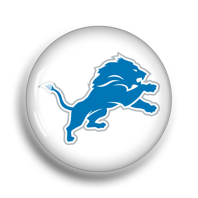 디트로이트 라이온스