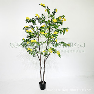 �����S������ �S���~�������~���� �@�ֹ����쾰�Ҿ��b���Gֲ