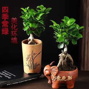 �ļ������ͺ��Ř����͘䘶�辰���҃�ֲ���˅���С�~�Ř����ԾGֲ