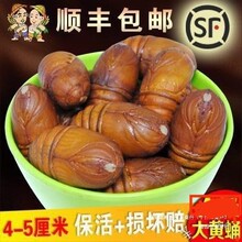 东北产柞蚕蛹新鲜活蚕蛹大黄蚕蛹新货A级大茧蛹蝉蛹500g顺丰