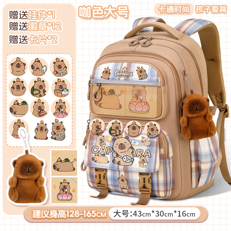 브라운 L사이즈