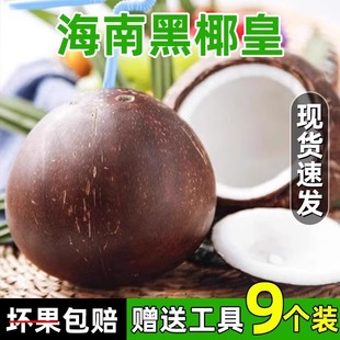 ���ں���ȥƤ��ɫ�ښ�ţ��Ҭ��Ҭ�����r��Ҭ��Ҭ֭9���b������]