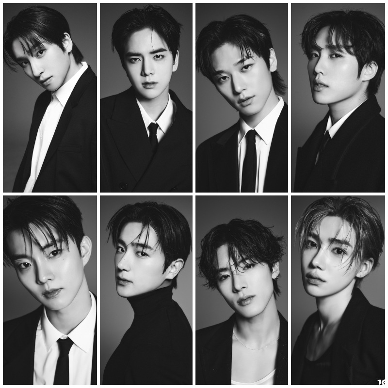 theboyz公式照 同款不干胶海报 墙贴画 装饰画 孙英宰明星周边