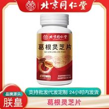 北京同仁堂葛根灵芝片批发维生素菊花粉马齿笕黑蒜运动营养食品