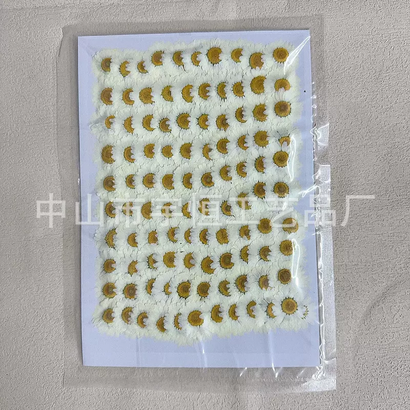 白晶菊压花干花押花批发 DIY手工相框书签 香薰蜡滴胶 小雏菊现货