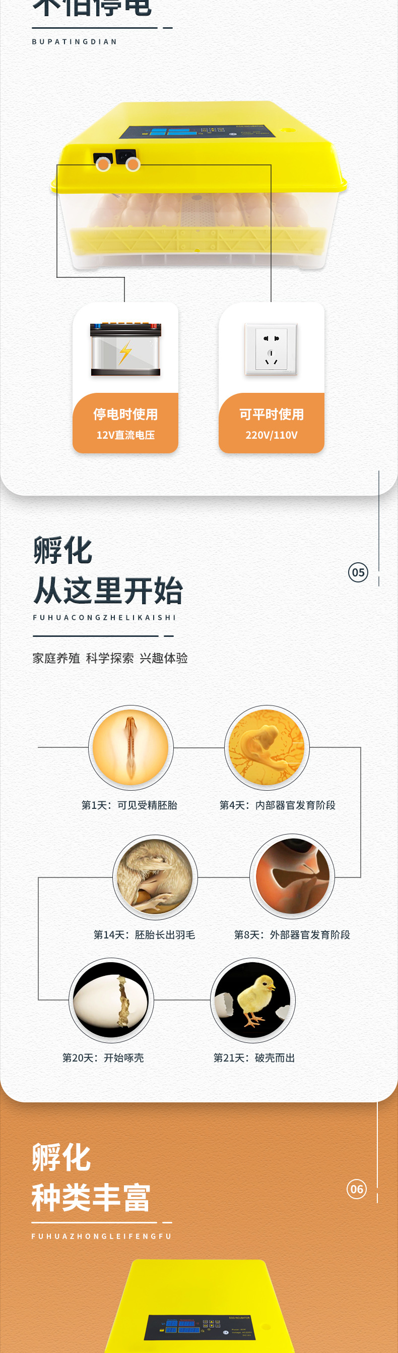 48枚双电源（花篮蛋盘）已修改_03