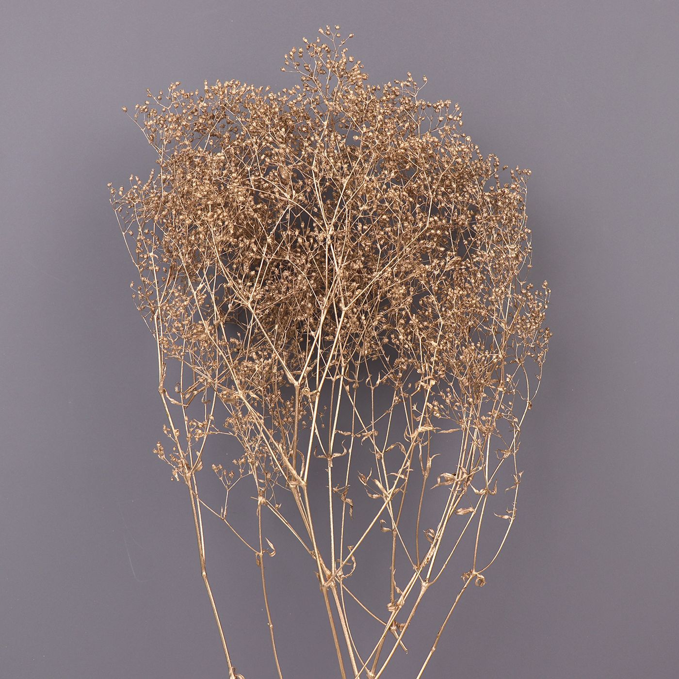 Fabricante pequeño cielo estrellado hierba millones de estrellas regalo del Día de San Valentín cielo estrellado ramo accesorios flor eterna