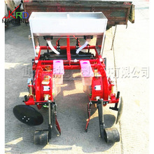 ���ʽ���׷N�Ӿ����C �������N�����w�����N�C �r�I���������C