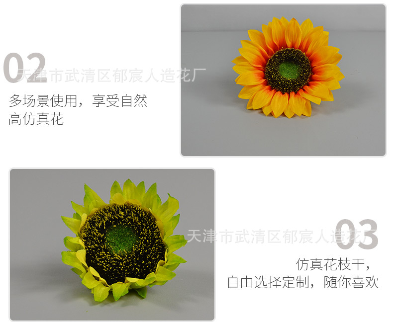 向日葵花朵_08.jpg