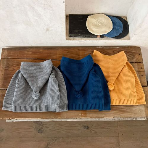 Ins Korean Version Children's Sweater for Boys and Girls, Baby, Pure Cotton Hooded Jacket for Infants and Toddlers, Autumn and Winter Pure Cotton Sweater