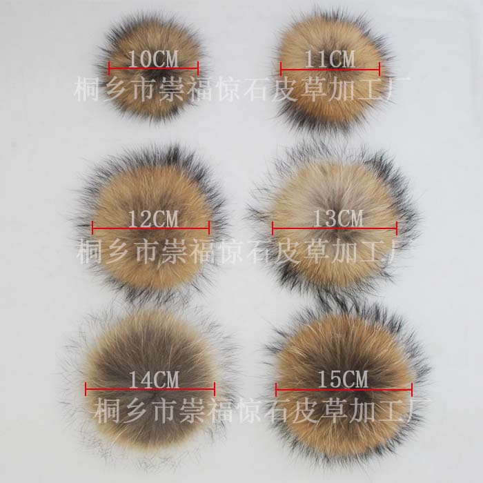 이 너구리 볼 전시