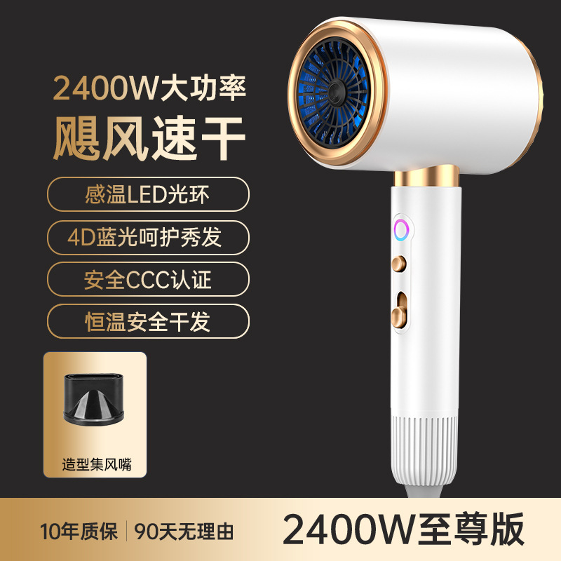 アマゾンクロスボーダー高回転ヘアドライヤーハイパワー家庭用ヘアサロンドライヤーブルーイオン保護ヘアドライヤードライヤー|undefined