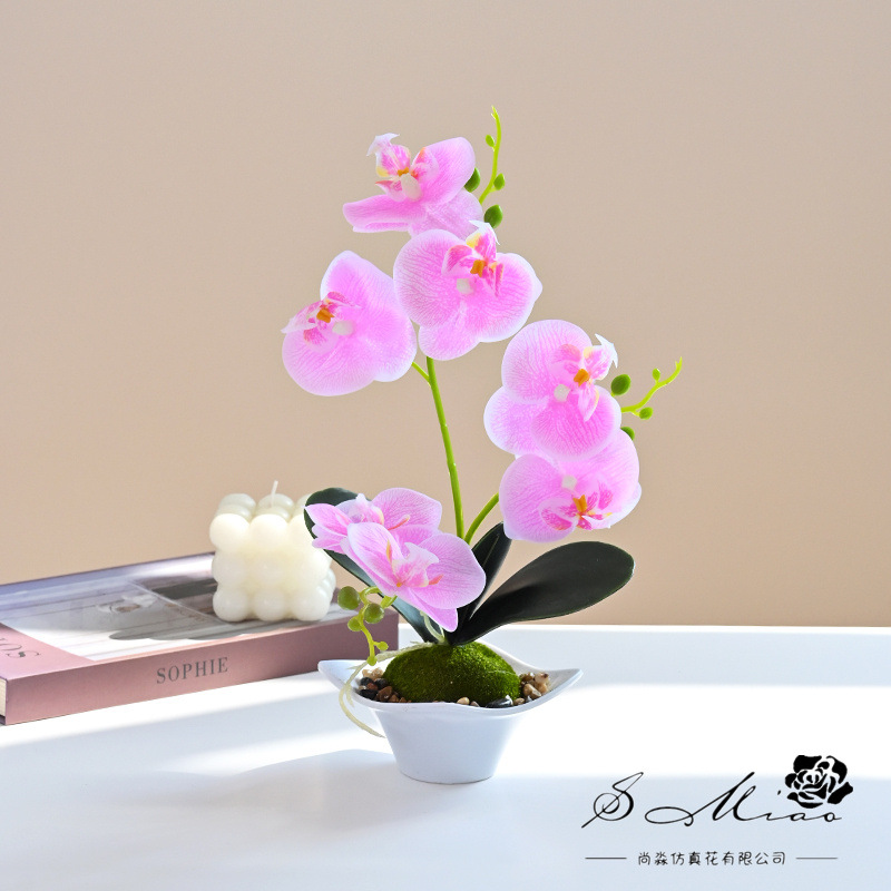 Nueva Phalaenopsis Bonsai de tres horquillas flor artificial decoración creativa Planta artificial suministro directo de fábrica de una sola pieza entrega image 13