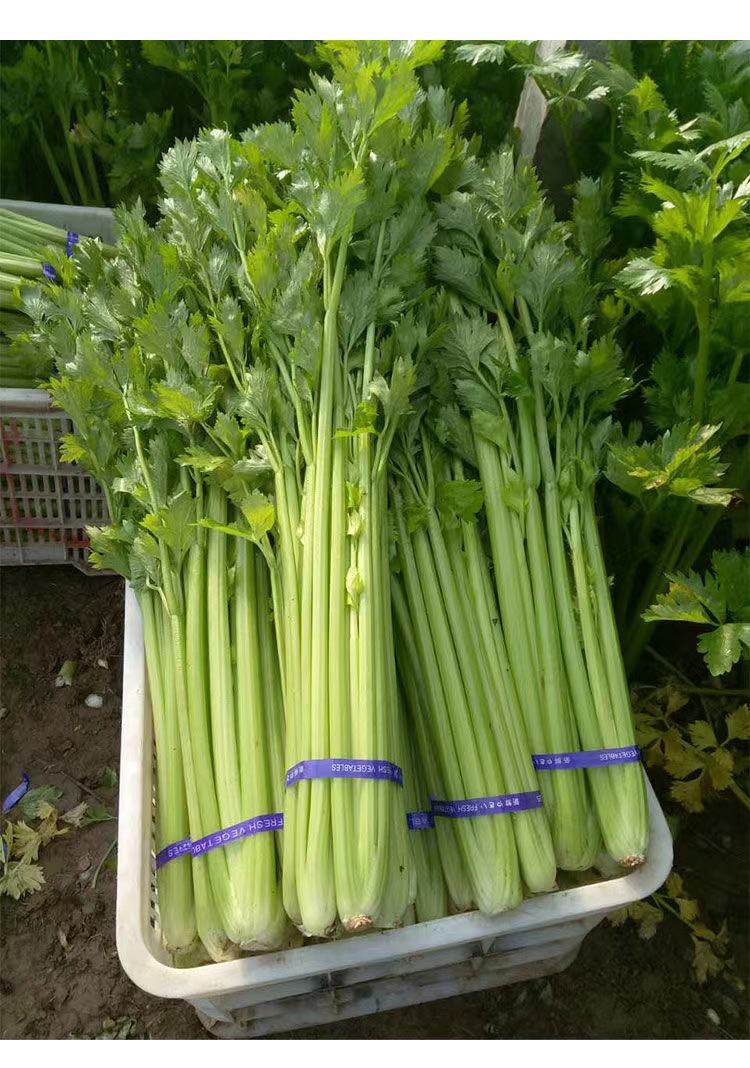 微信图片_202211011605304