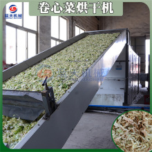 网带卷心菜烘干机 全自动包菜丝圆白菜烘干设备 洋白菜蔬菜干燥机